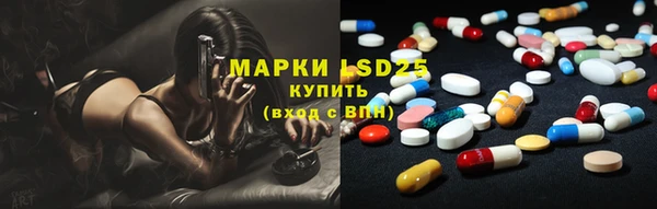 кокс Гатчина
