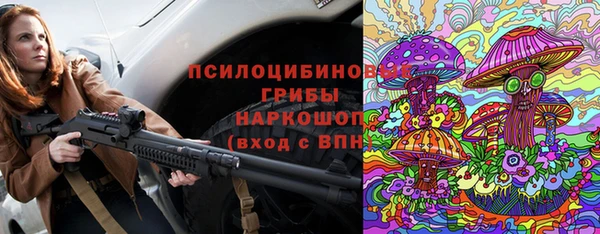 кокс Гатчина