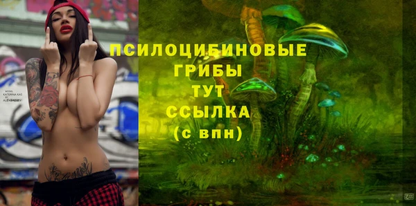 Альфа ПВП Гвардейск
