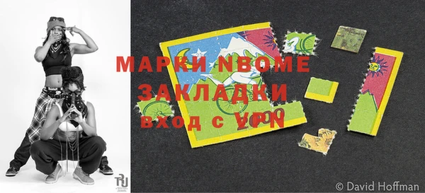 кокс Гатчина