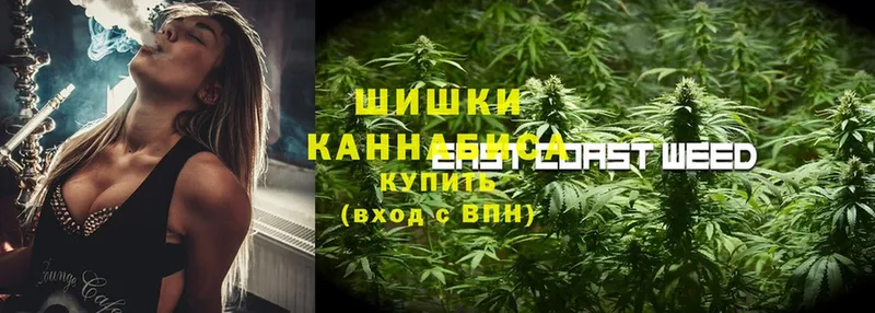 Канабис THC 21%  как найти наркотики  Закаменск 